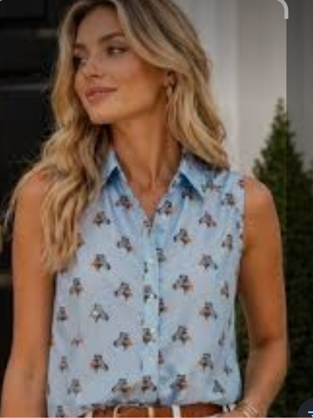 Sleeveless Sheer Light Blue Zebra-Print Button Front Blouse